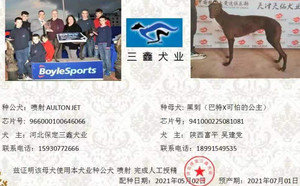 喷射X黑刺 BTKP4，941000225081081.jpg