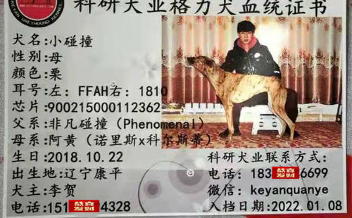 小碰撞 900215000112362，FFAH1810