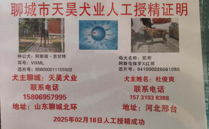 阿斯顿吉甘特X凯奇 BLHN1，941000225081085.jpg