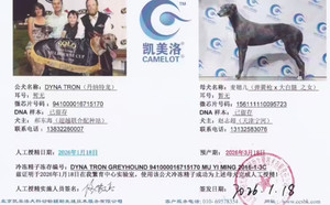 丹纳特龙X麦穗儿 156111110095723.jpg