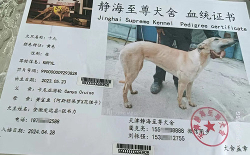 十九 990000009293828