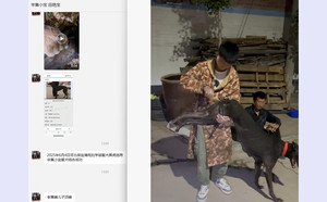 顶蜂X黑虎 900115002829463.jpg