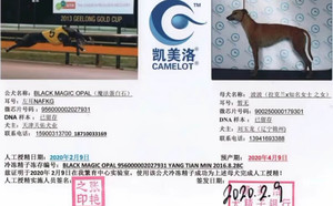 魔法蛋白石X波波 LKZM 1405B，900250000179301.jpg