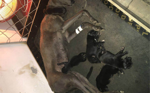 奇怪的男孩X灿烂的清楚 BFQC 104H，900111880089659.jpg