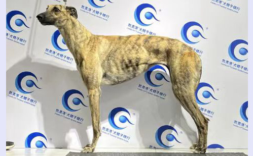 奥美 988000001880096