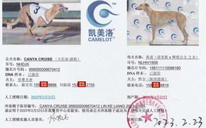 卡尼亚游轮X黄诺 156111110098180，NLHH1609.jpg