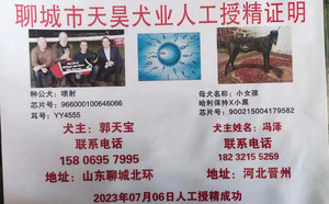 喷射X小女孩 900215004179582，H2006.jpg