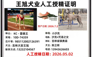 飞行雷德王X小沙克 900168801066252，ZBSK1710，妞妞.jpg