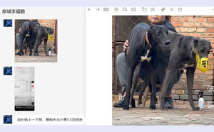 黑帕夫X小青 990000006147587.jpg