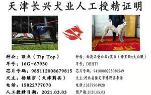 顶点X雨花石 DBHT1，941000225080549.jpg