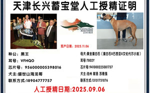 黑王X黄金蛋白石 941000225081737，T802Y.jpg
