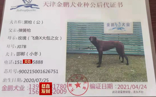 黑枪 900215001626751，J07B