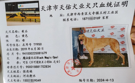 黄石 941000225081679，TY950