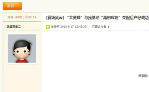 大黄蜂X再创辉煌 Hotfoot Leigh，1796 46D.jpg