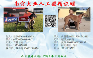 法汉X南宫马计的火箭炮900115001743415（2023年9月6日配）.jpg