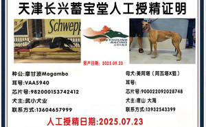 摩甘波X美阿塔 900022092028748.jpg