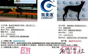 魔法蛋白石X阿曼达 Amanda Bynes，36F 68264，988000001880001.jpg