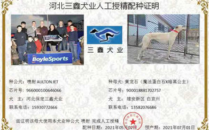 喷射X黄龙石 DBAN2，900018881702757.jpg