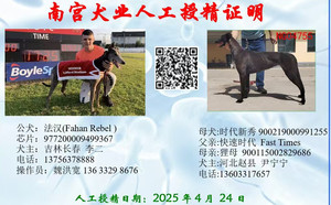 法汉X时代新秀 900219000991255，NGXH424M2.jpg