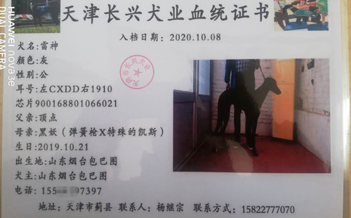 雷神 900168801066021，CXDD1910