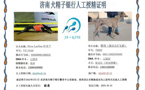 拉克兰X狸母 900115002829686，T860Y.jpg