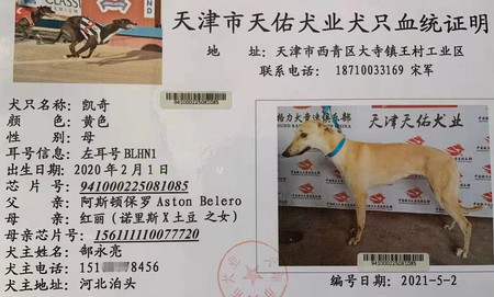 凯奇 BLHN1，941000225081085
