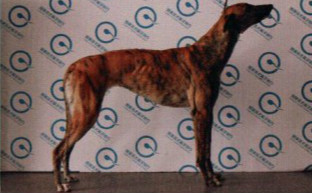 六四八 156111110090648