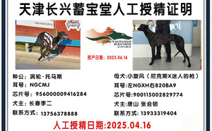 涡轮托马斯X小旋风 900115002829774.jpg