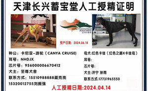 卡尼亚游轮X红色卡佳 900215002088380.jpg