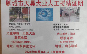 阿斯顿吉甘特X幺妹 900215003567589，TH005.jpg