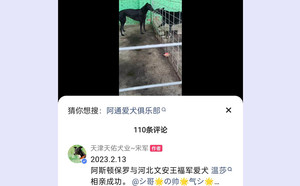 阿斯顿保罗X温莎 900111880081718，900005761104664.jpg