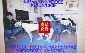 阿斯顿保罗X五八零941000225080580.jpg