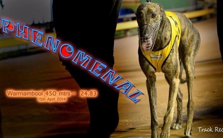非凡的碰撞 Phenomenal，956000002586135，VATOB