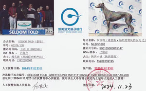 嘉里X灰玫瑰 900155000015147，NLBF1605.jpg