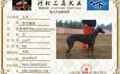 小灰 900115000512151，S107796L