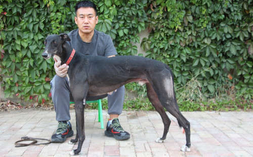 小幻觉 900168021055188