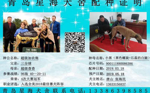 超级加农炮X小黑 900111880086386，三条腿.jpg