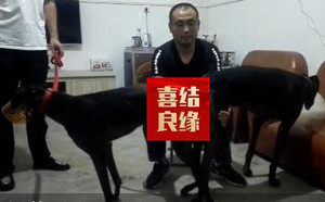 魔法枪X小卡佳母 YY8313.jpg