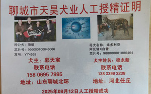 喷射X维多利亚 988000001880464.jpg