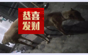 尼克斯勇士X黄迈克 900155000038224.jpg