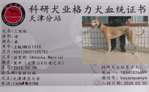 三朗妹 900128001225751，NLHN1310
