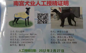 烈火战神X神奇小白腿 900215002088616.jpg