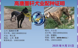 超越好的赛X大公主 900250000483885，J63C，炮弹.jpg