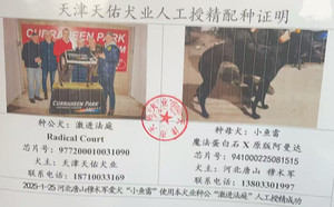 激进法庭X小鱼雷 941000225081515.jpg