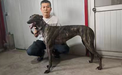 丽丽公主 990000010039426，S5772111PS