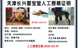 卡尼亚游轮X白雪公主 900111880715225，HJWCAWT.jpg
