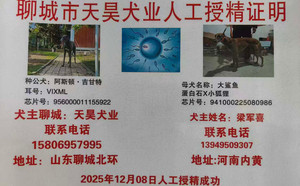 阿斯顿吉甘特X大鲨鱼 941000225080986，DBHL2.jpg