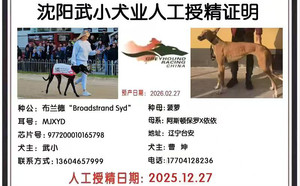 布兰德X菠萝 900128001216078.jpg