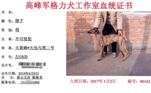 一零三 900250000445103，GAOD
