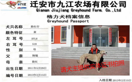 脸红宝贝 DTLH 51B，900111880089699
